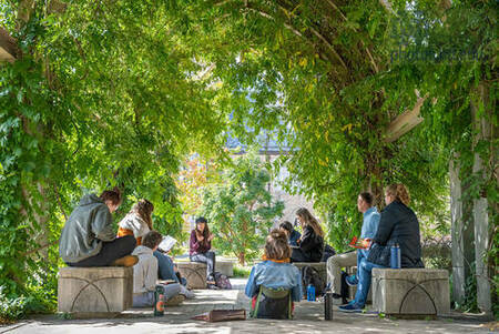 Class taking place outside under a plant-covered awning at Notre Dame